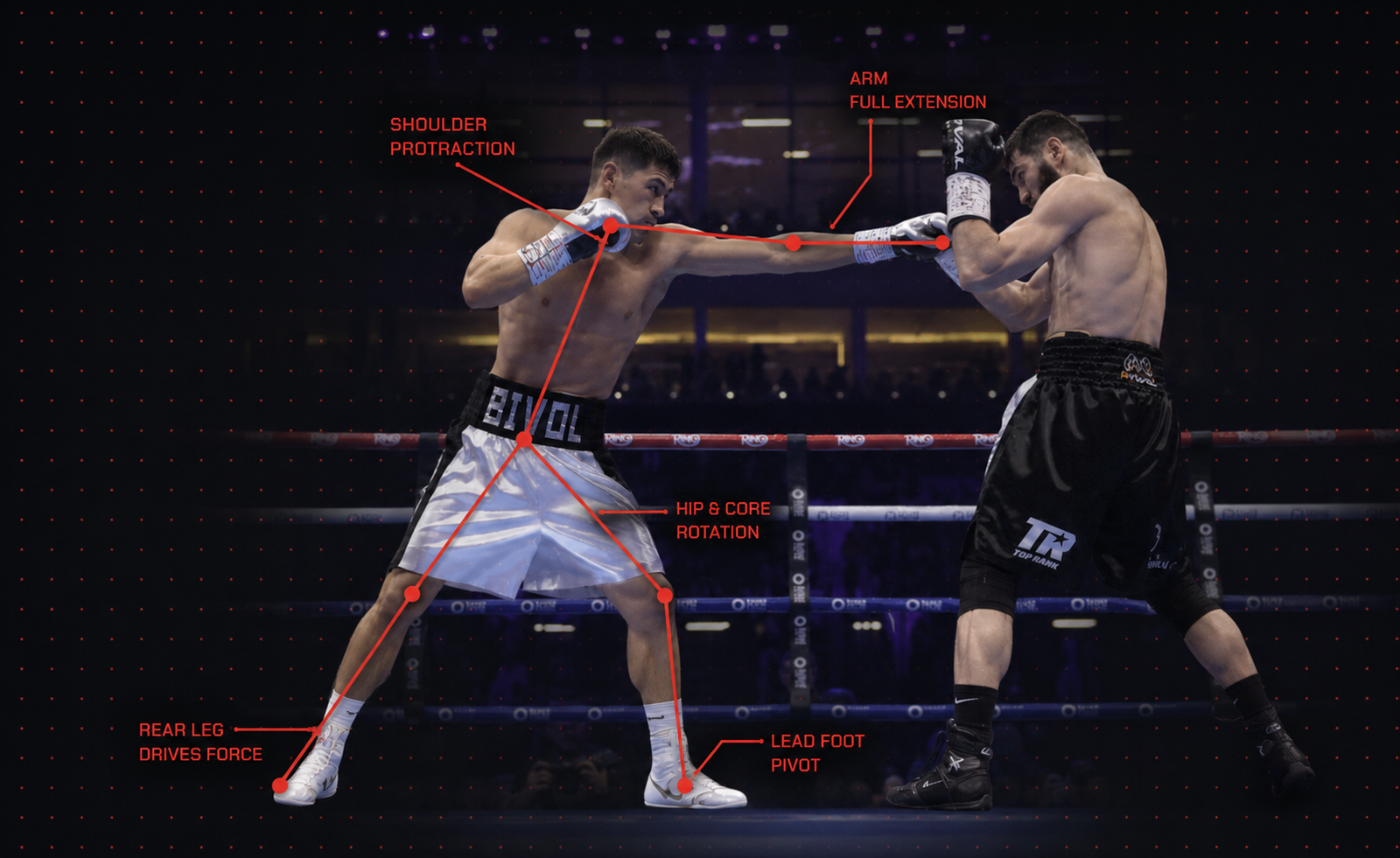 Análisis biomecánico del jab en boxeo mostrando la coordinación de piernas, cadera, tronco, hombro y brazo